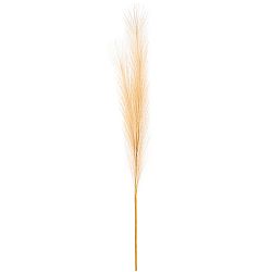 Pampas tráva, světle hnědá, 9 x 77 cm