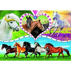 Trefl Puzzle Krásní koně 200 dílků