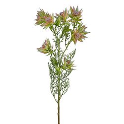 Umelá Rastlina Proteazweig, V: 78cm