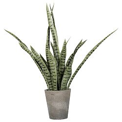 Umělá Rostilna Sanseveria, V: 85cm