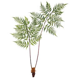 Umělá Rostlina Dyropteris, V: 150cm