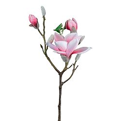 Umělá Rostlina Magnolie, V: 69cm
