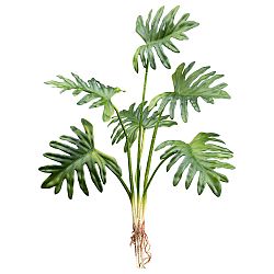 Umělá Rostlina Monstera