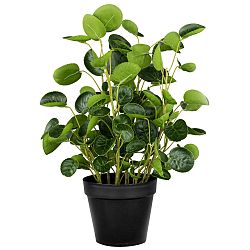 Umělá Rostlina Pilea, V: 43cm