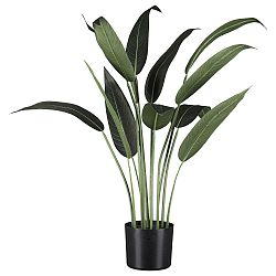 Umělá Rostlina Wassercanna I