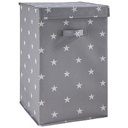 Box Sandy V Šedé S Vrchnákem 30x30x30 Cm
