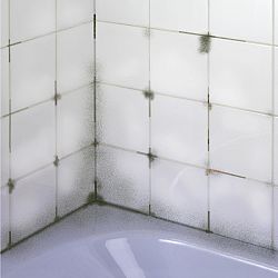 Magnet 3Pagen Odstraňovač plísně 500ml