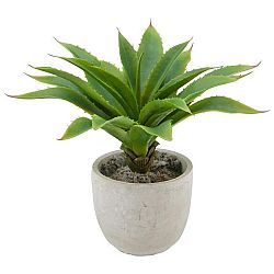 Rostlina Umělá Agave I