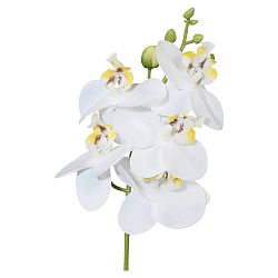 Umělá Rostlina Phalaenopsis, V:27cm,bílá