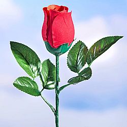 Magnet 3Pagen Mluvící narozeninová růže