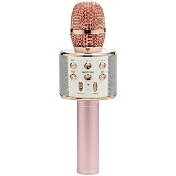 Mikrofon Karaoke Mikrofon